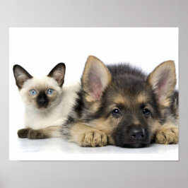 Poster Les mignons animaux