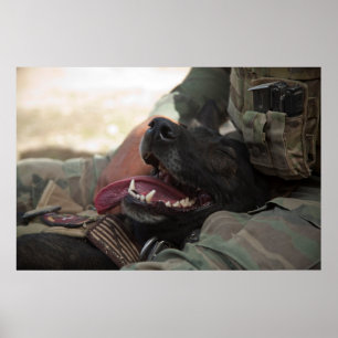 Poster Les militaires de sourire de berger allemand