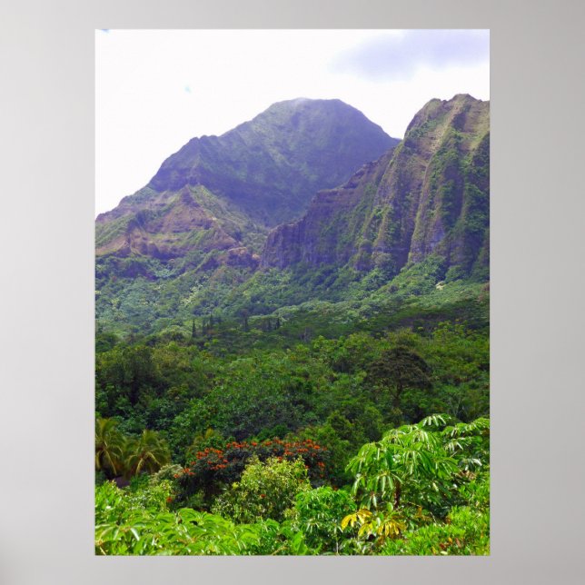 Poster Les monts Koolau (Devant)