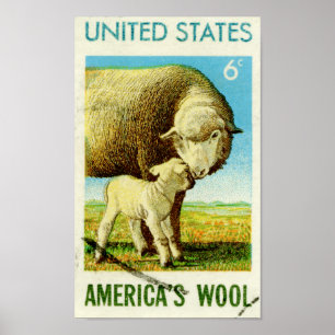 Poster Les moutons rétro en laine de l'Amérique