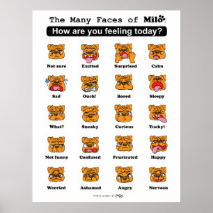 Poster Les nombreux visages du Milo
