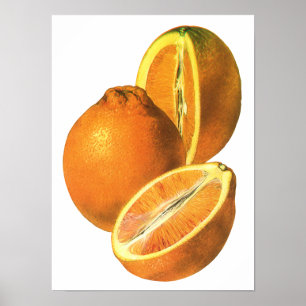 Poster Les nourritures vintages, portent des fruits les