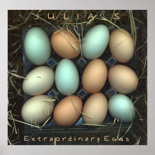 Poster Les Oeufs extraordinaires de Julia (Devant)