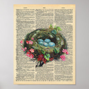 Poster Les oeufs vintages de Robin bleu d'art de