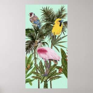 Poster Les oiseaux au paradis