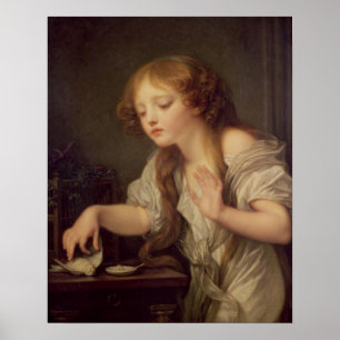 Poster Les oiseaux morts