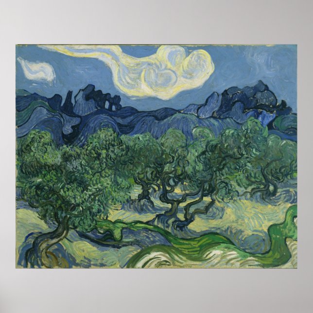 Poster Les oliviers de Vincent Van Gogh (Devant)