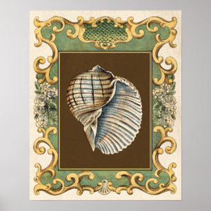 Poster Les petites coquilles de sirène