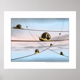 Poster Les pistes d'escargot