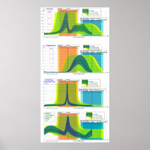 Poster Les plages d'hormones femelles pendant le cycle me