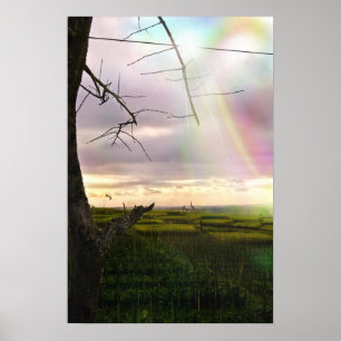 Poster Les plaines de Bali