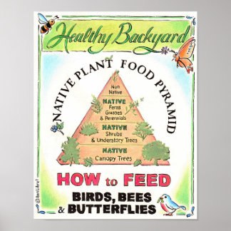 Poster Les Plantes autochtones nourrissent les oiseaux, l