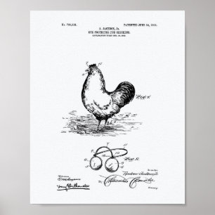 Poster Les poulets protecteurs des yeux Livre blanc sur l