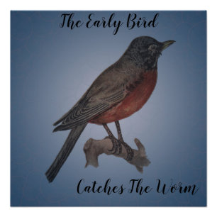 Poster Les Premiers Oiseaux Attrapent Le Ver