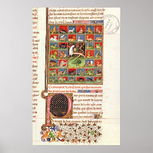 Poster Les propriétés des animaux (Devant)