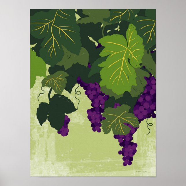 Poster Les raisins sur la vigne (Devant)