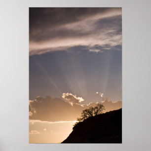 Poster Les rayons crépusculaires rayonnent à travers le c