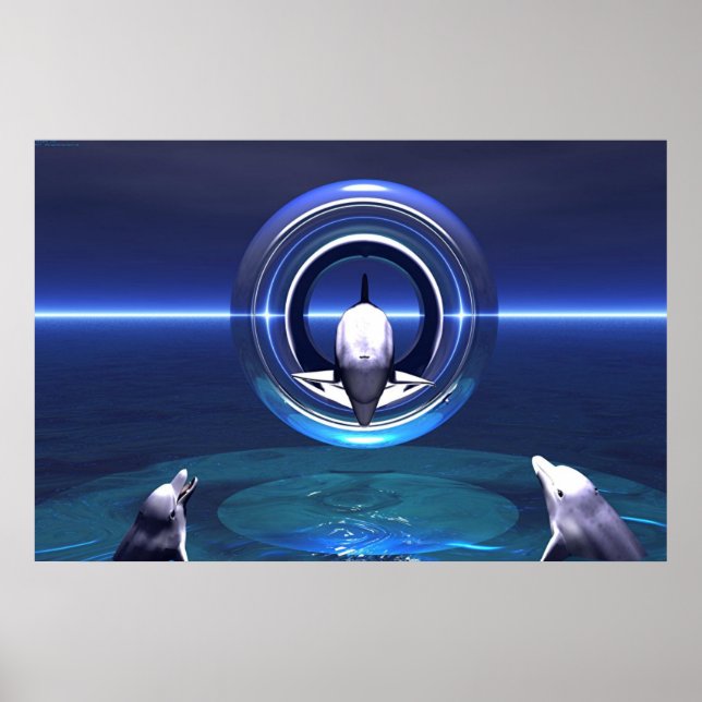 Poster Les rêves des dauphins (Devant)