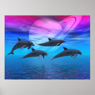 Poster Les rêves des dauphins