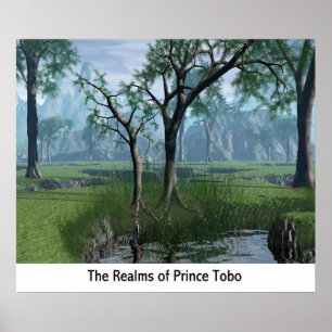 Poster Les royaumes de prince Tobo