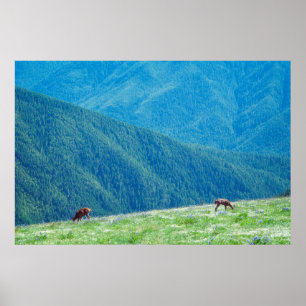 Poster Les seaux au pied des montagnes