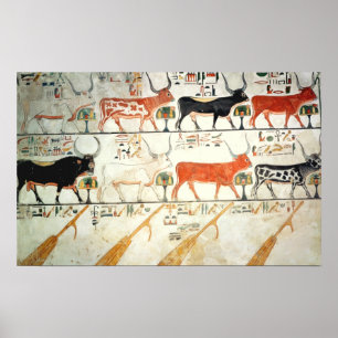 Poster Les sept vaches célestes et le taureau sacré