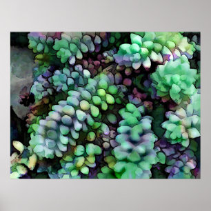 Poster Les traces du cool Hued Burro dans le désert chaud