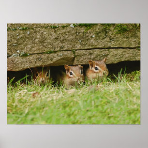 Poster les trois amis