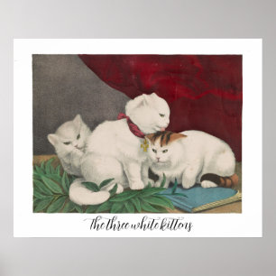 Poster Les trois chatons blancs - paix - O.S. sc., Currie