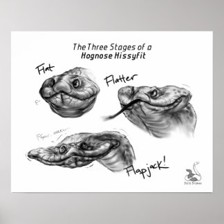 Poster "Les trois étapes d'une histoire de Hognose"