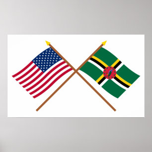 Poster Les USA et drapeaux croisés par Dominique