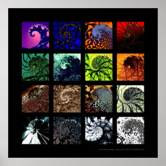 Poster Les variations spirales