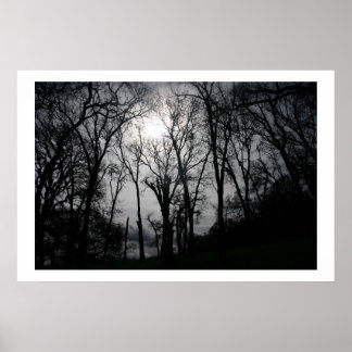 Poster Les veines de la nature