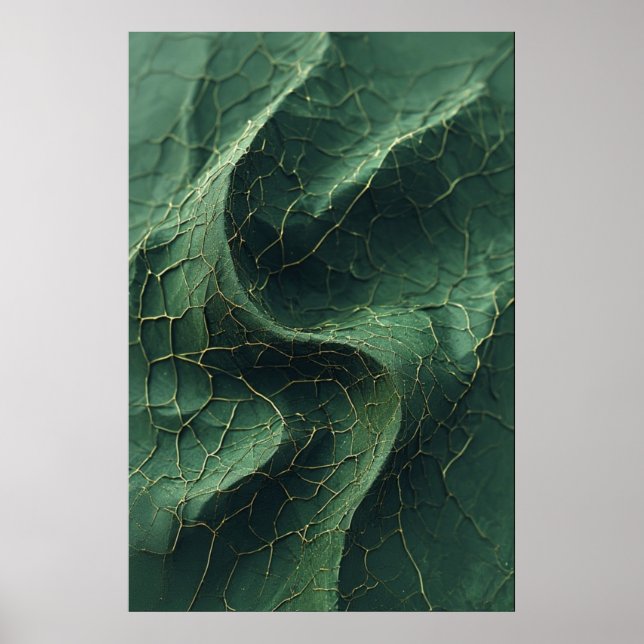 Poster Les veines fissurées de la nature : une feuille ve (Devant)