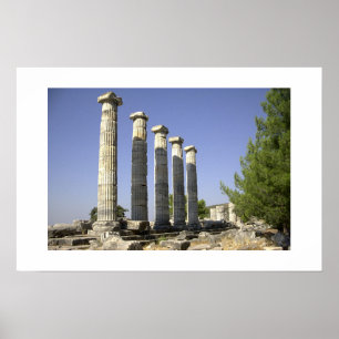 Poster Les vestiges de la Rome antique