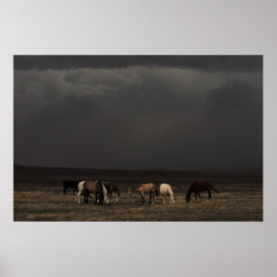 Poster Les Voyageurs De La Tempête