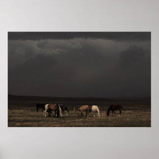 Poster Les Voyageurs De La Tempête