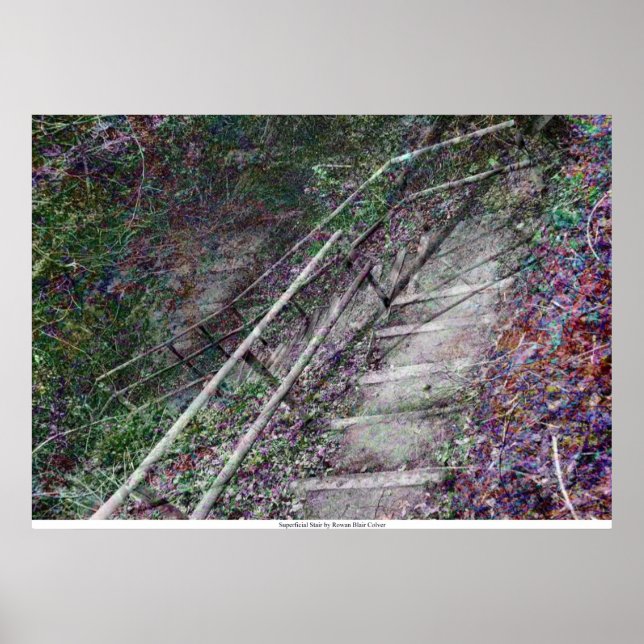 Poster L'escalier superficiel de Rowan Blair Colver (Devant)