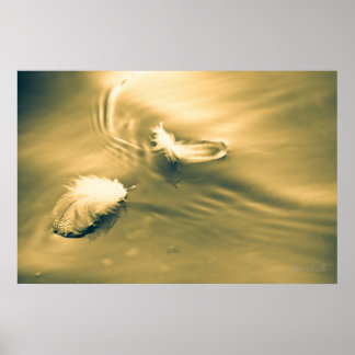 Poster L'espoir est la chose avec les plumes