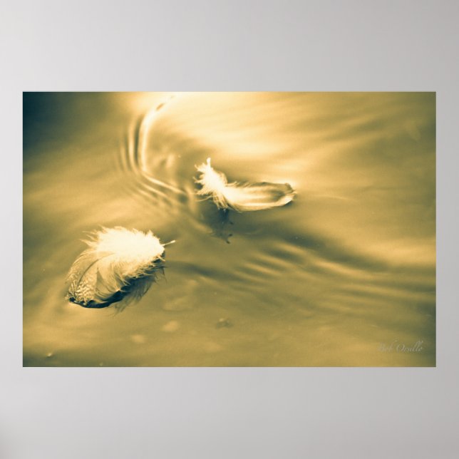 Poster L'espoir est la chose avec les plumes (Devant)