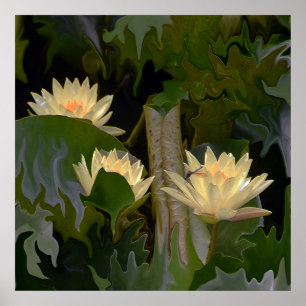 Poster L'étang de Fae....