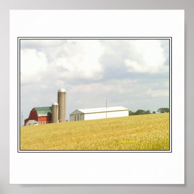 Poster L'été à la campagne (Devant)