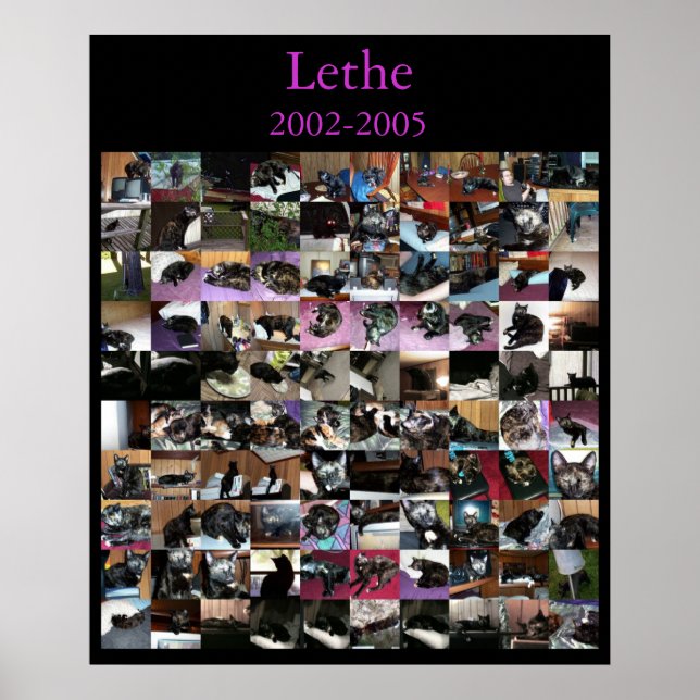 Poster Lethe (Devant)