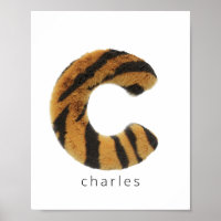 Lettre C fourrure de tigre