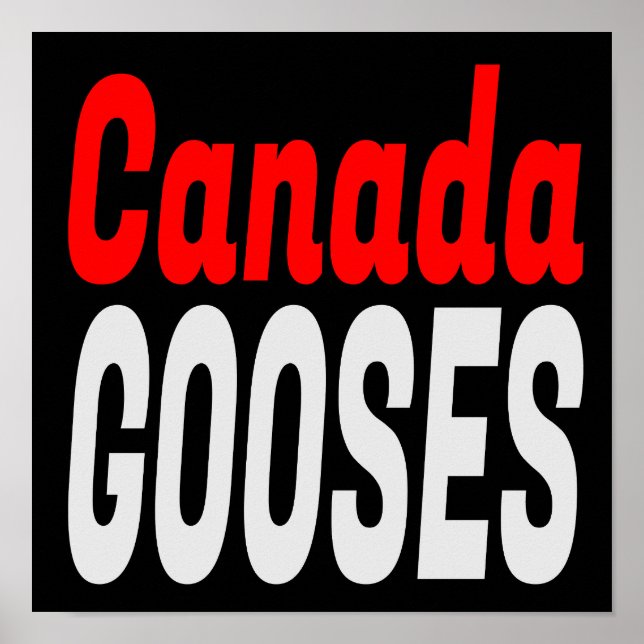 Poster Lettre canadienne Gooses Kenny Funny Nouveauté (Devant)