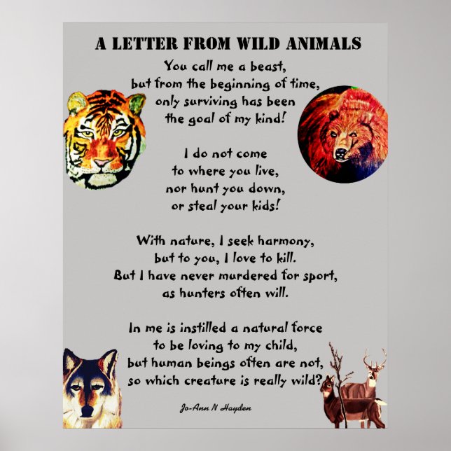 Poster LETTRE DE L'affiche ANIMAUX SAUVAGES (Devant)