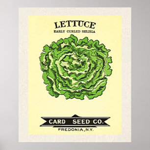 Poster Lettuce Seeds Card Seeds Company