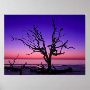 Poster Levée de soleil violette