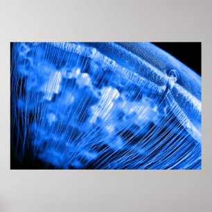 Poster Lever de la lune bleue