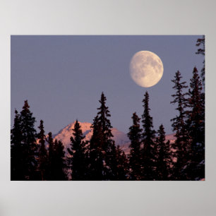 Poster Lever de lune début de l'hiver   Anchorage, Alaska